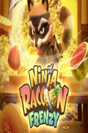 Ninja Racoon Frenzy